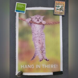 Cute Cat Poster - Hang In There!